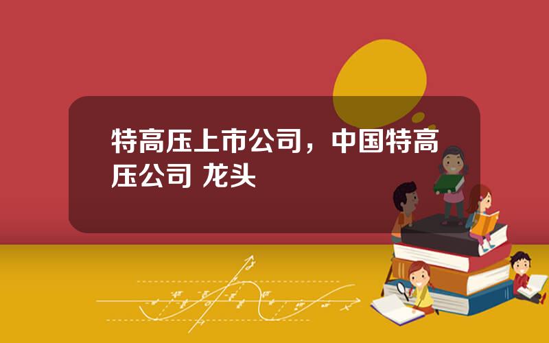 特高压上市公司，中国特高压公司 龙头
